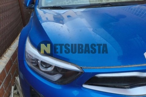 Suzuki BURGMAN 650 Executive 2010