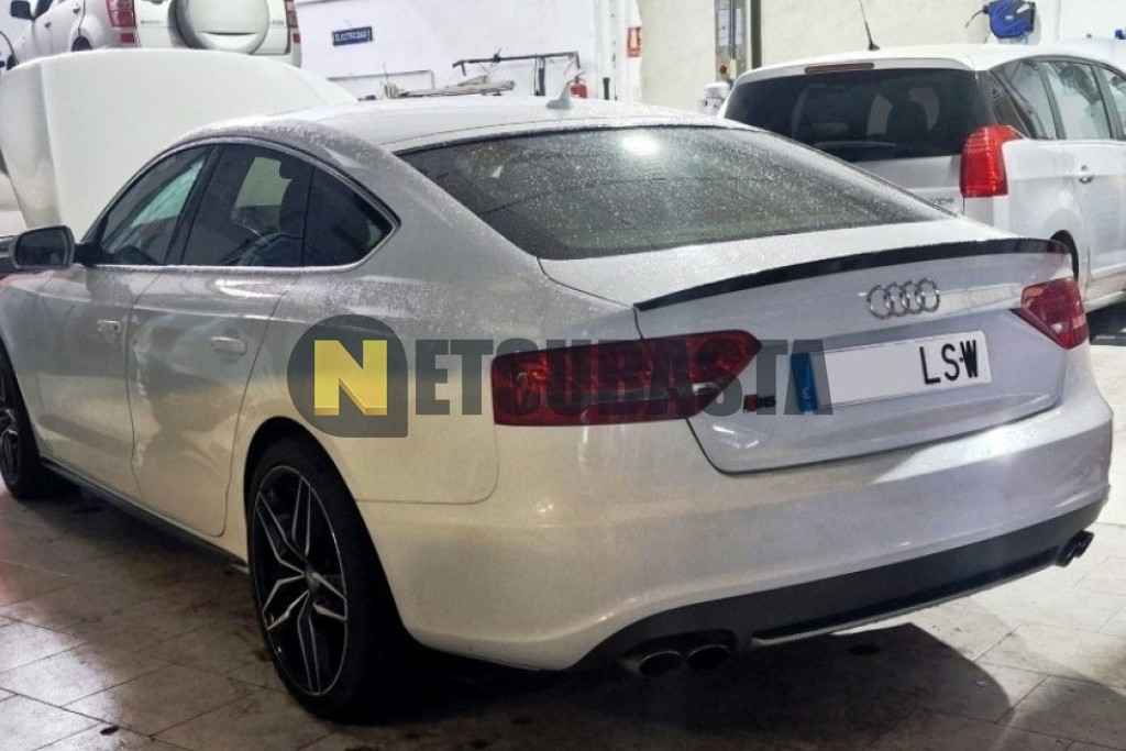 Audi Audi S5 3.0 TFSI quattro S tronic 7 vel. 2011