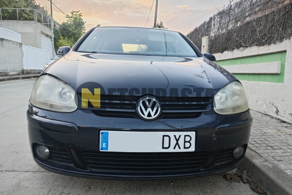 Volkswagen Golf 1.9 TDI 2006