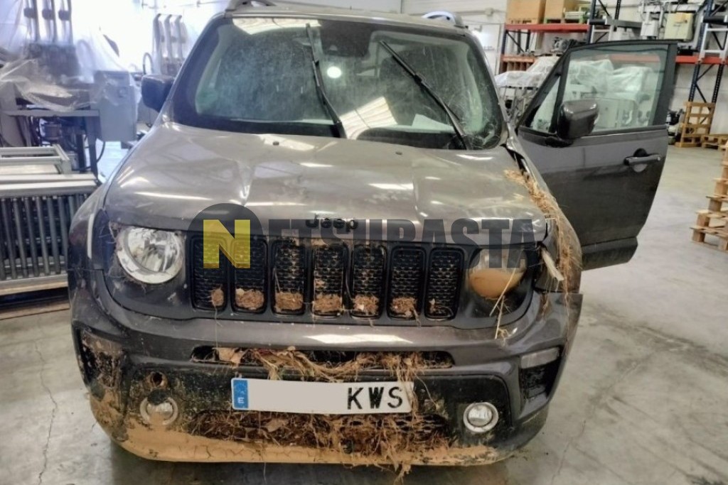 Jeep Renegade 1.3 Turbo 2019