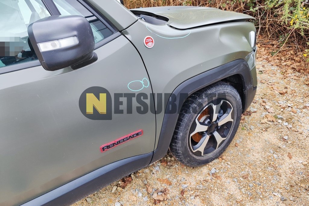 Jeep Renegade Trailhawk 2.0 Multijet 4x4 2020