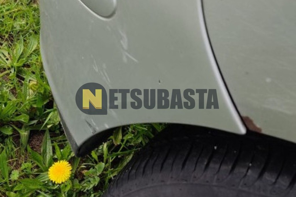 Seat Ibiza 1.9 SDi 2002