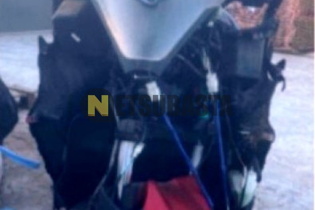 Kymco Superdink 350i 2018