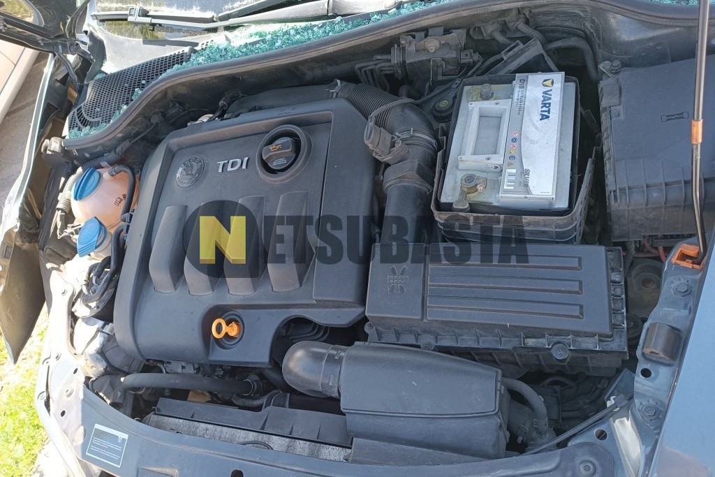 Skoda Octavia 1.9 TDI 2007