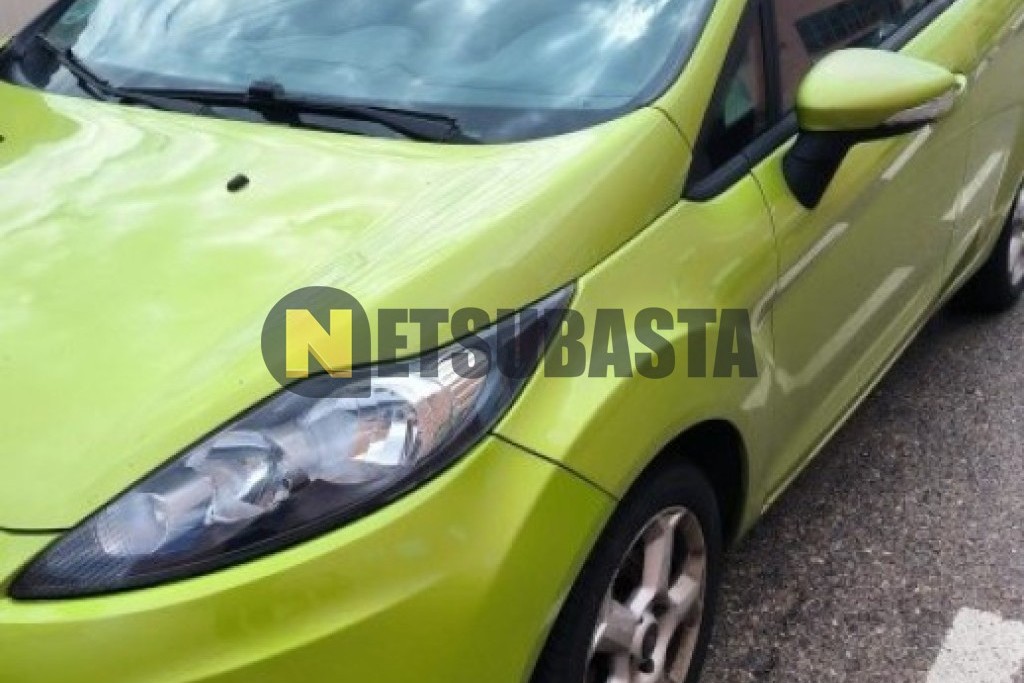Ford Fiesta 1.4 TDCi 2010