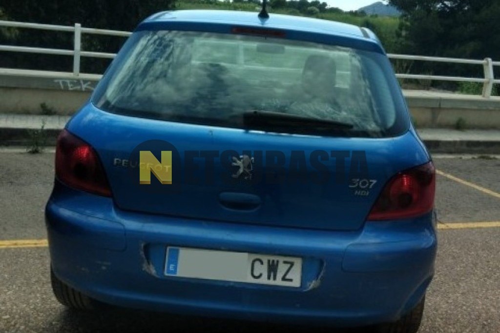 Peugeot 307 2.0 HDi 2004