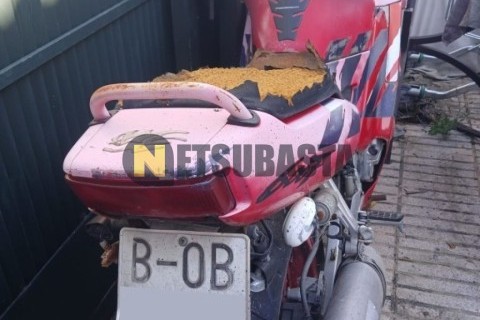 Suzuki AN 250 Burgman 2000