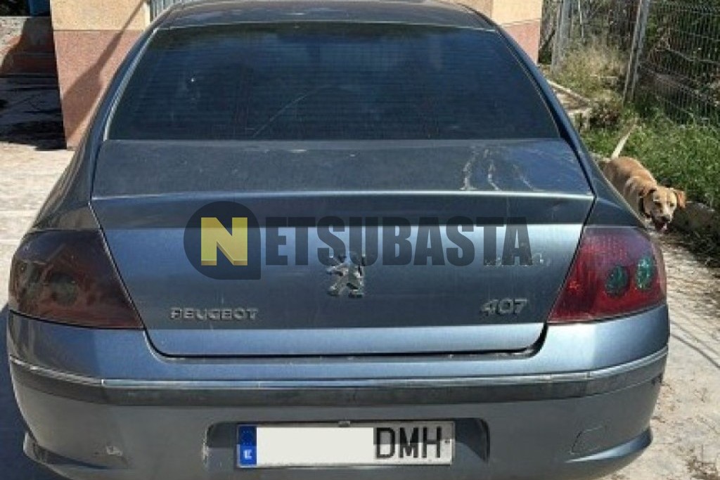 Peugeot 407 ST 2.0 HDi FAP 2005