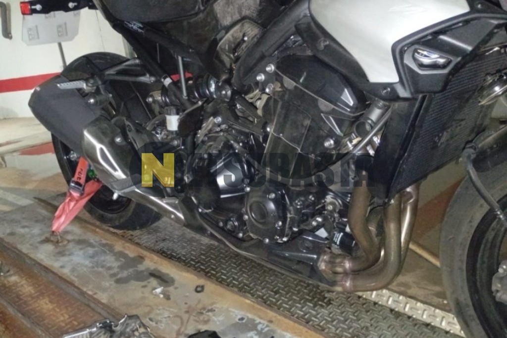 Kawasaki Z 900 2025