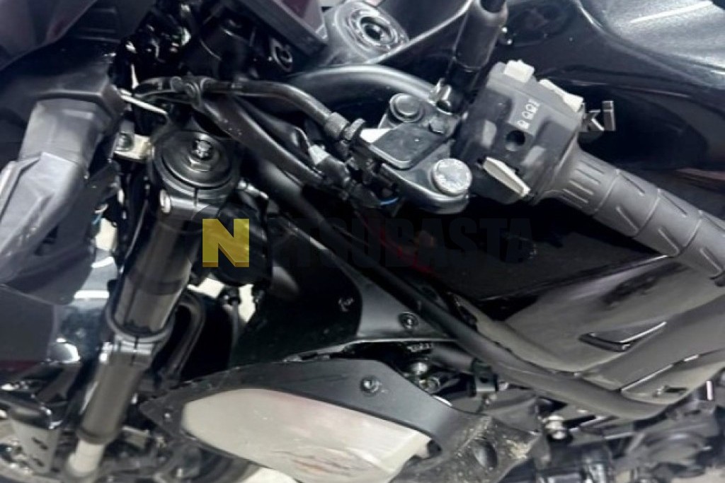 Kawasaki Z 900 2025