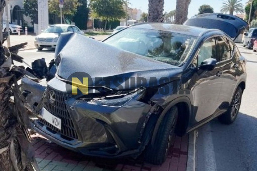 Lexus NX 450h+ 4X4 2025