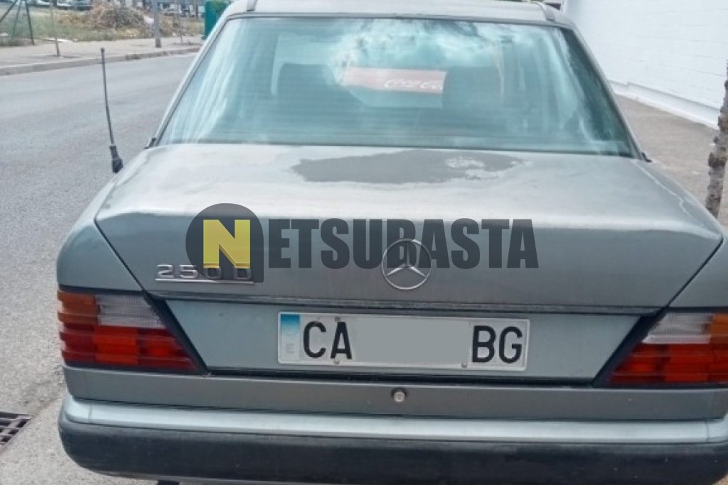 Mercedes-Benz 250 D 1988