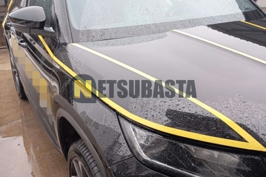 Skoda Kodiaq 2.0 TDI DSG 4x4 2021