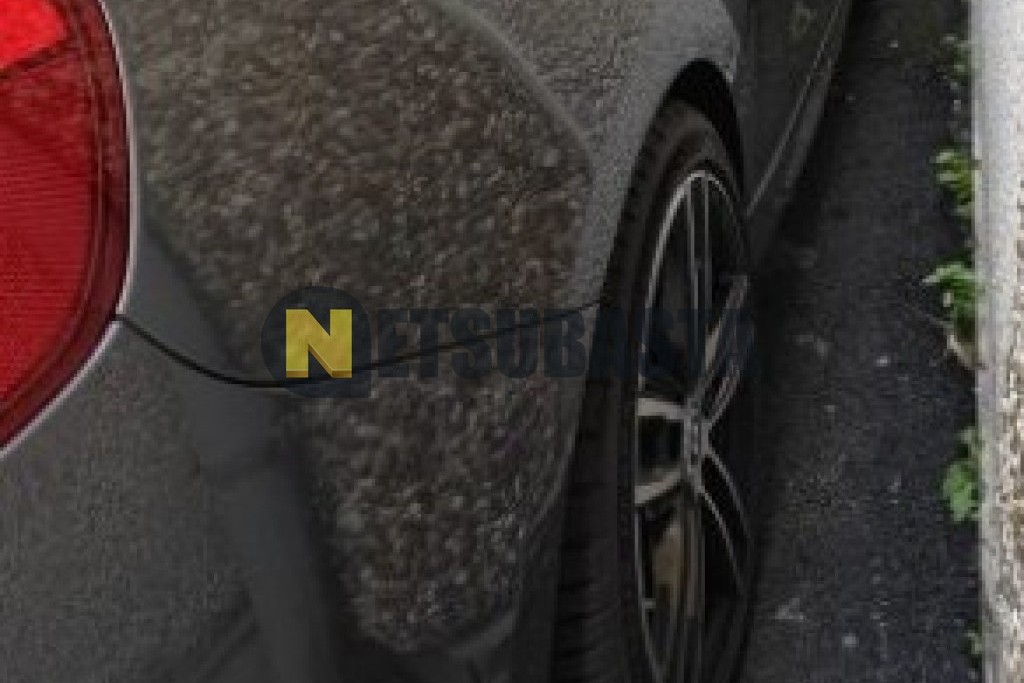 Bmw 225d Coupé Aut. 2017
