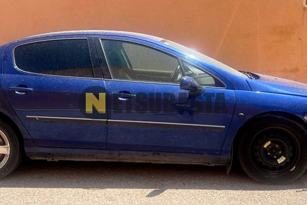Peugeot 407 ST 2.0 HDi FAP 2005