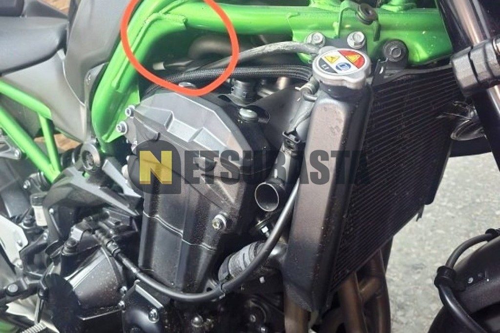 Kawasaki Z 900 2022