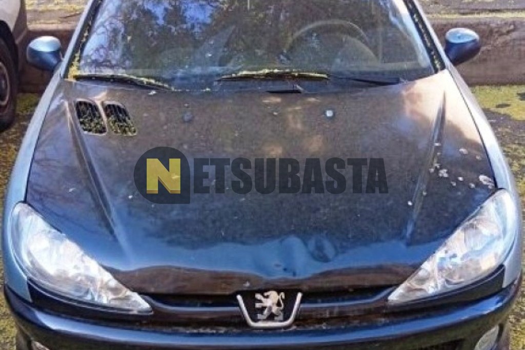 Peugeot 206 1.4 HDi 2004