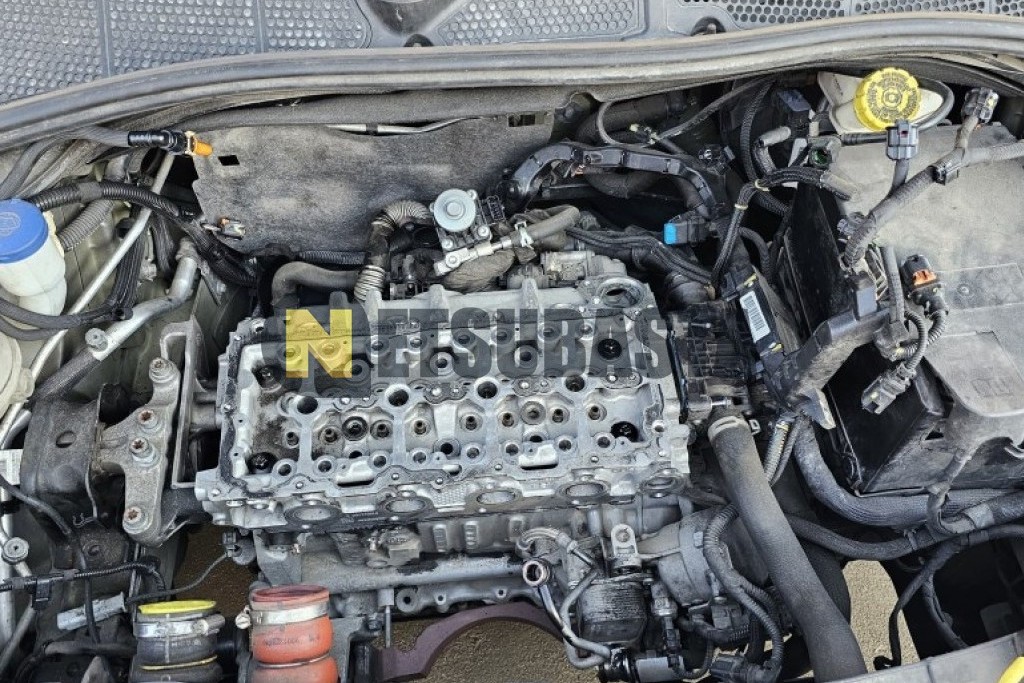 Citroën C4 Cactus 1.5 BlueHDi 2020