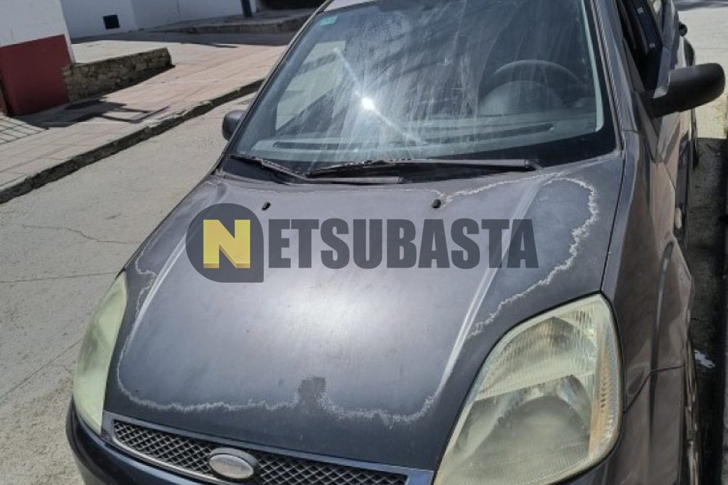 Ford Fiesta 1.4 TDCi 2005