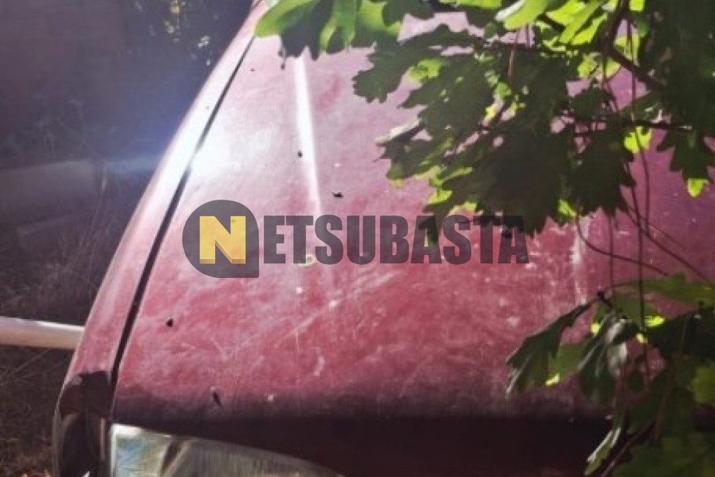 Renault R19 1.8 1992