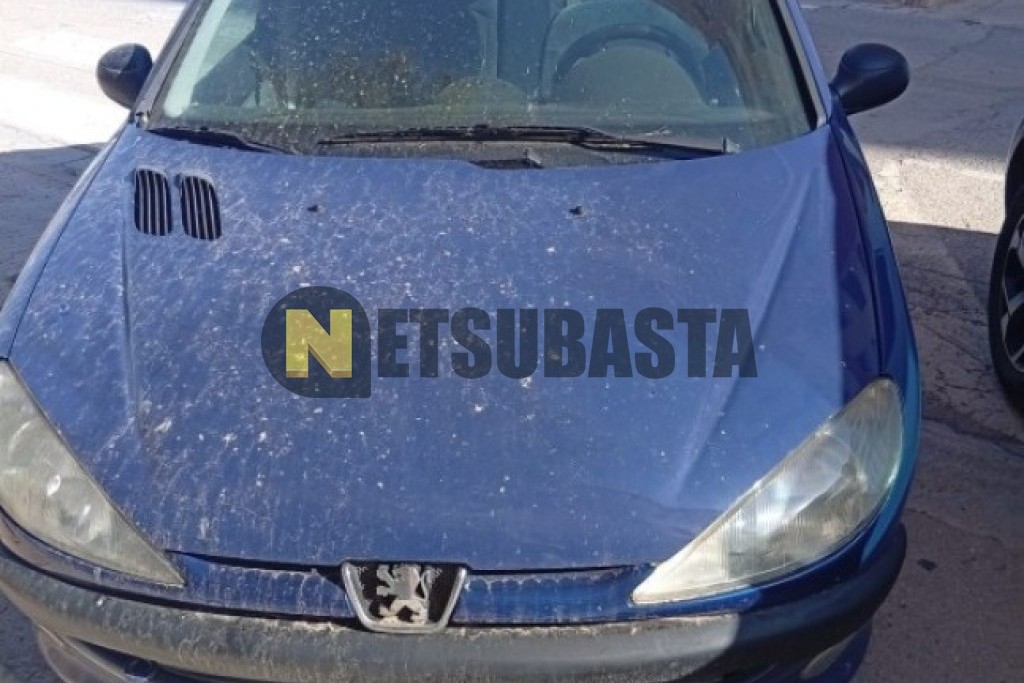 Peugeot 206 1.9 D 2001