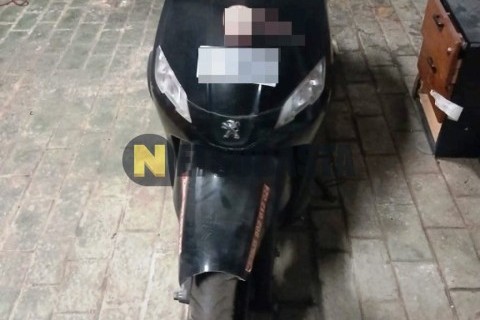Suzuki Zillion 50 W 2001
