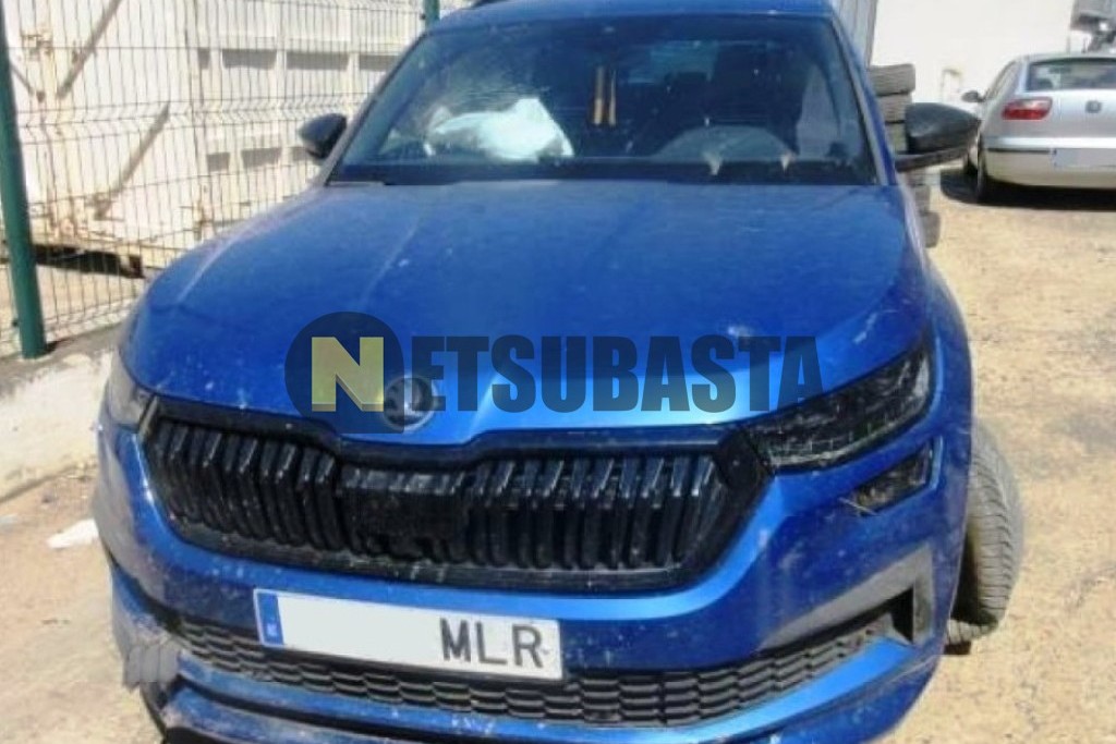 Skoda Kodiaq 2.0 TDI DSG 4x2 2023