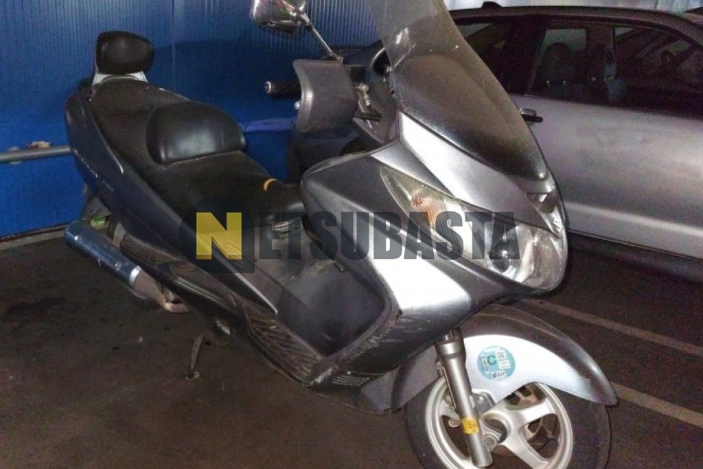 Suzuki BURGMAN 250 2008