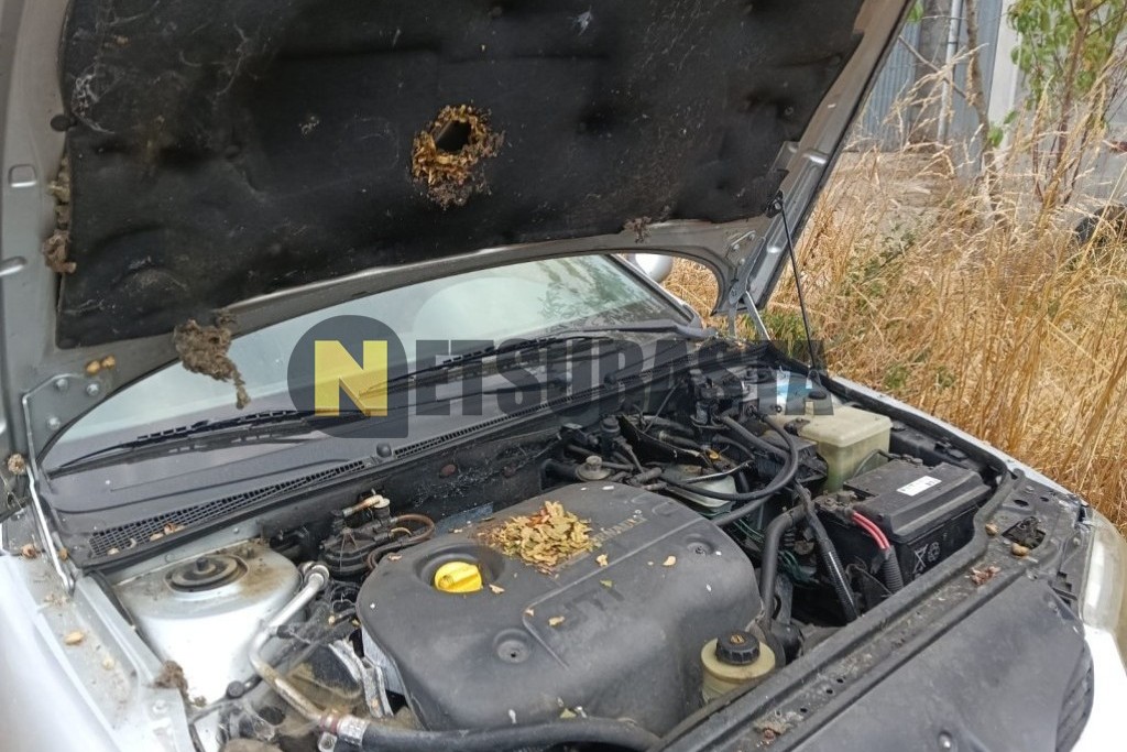Renault Laguna 1.9 dTi 1999