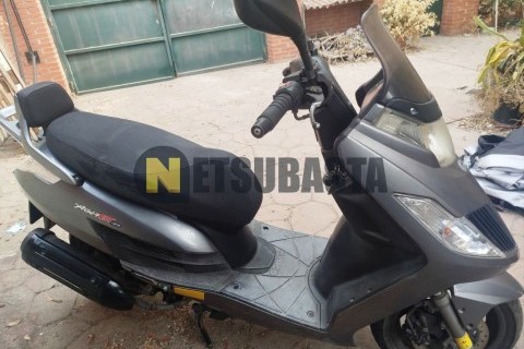 Yamaha Majesty 250 2004