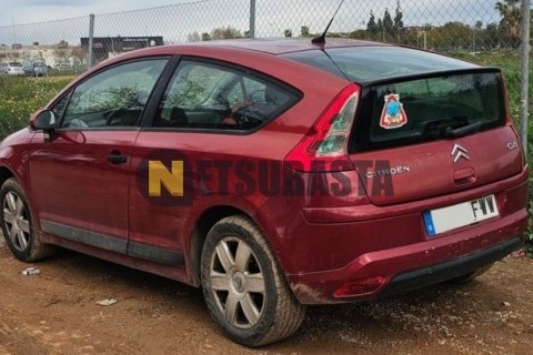 ZONTES M 310 2022