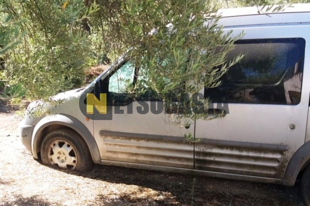 Ford Tourneo Connect 1.8 TDdi 2005