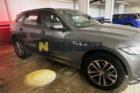 ZONTES M 310 2022