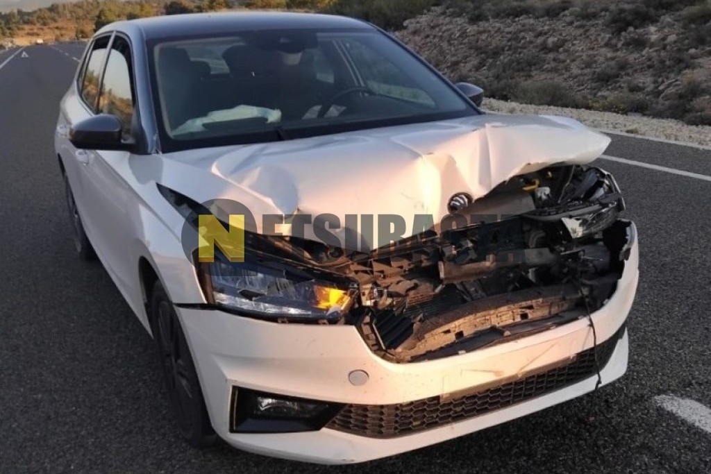 Skoda Fabia 1.0 TSI DSG 2022