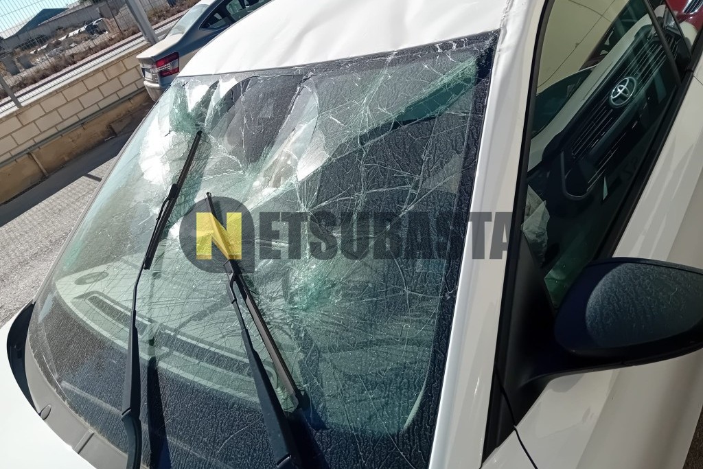 Skoda Fabia 1.0 TSI 2024