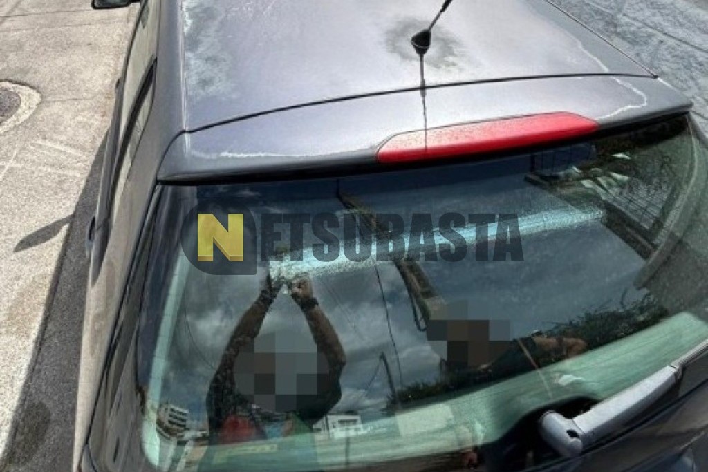 Volkswagen Polo 1.4 TDI 2006