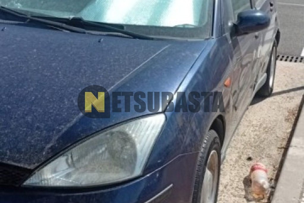 Ford Focus 1.6 2000