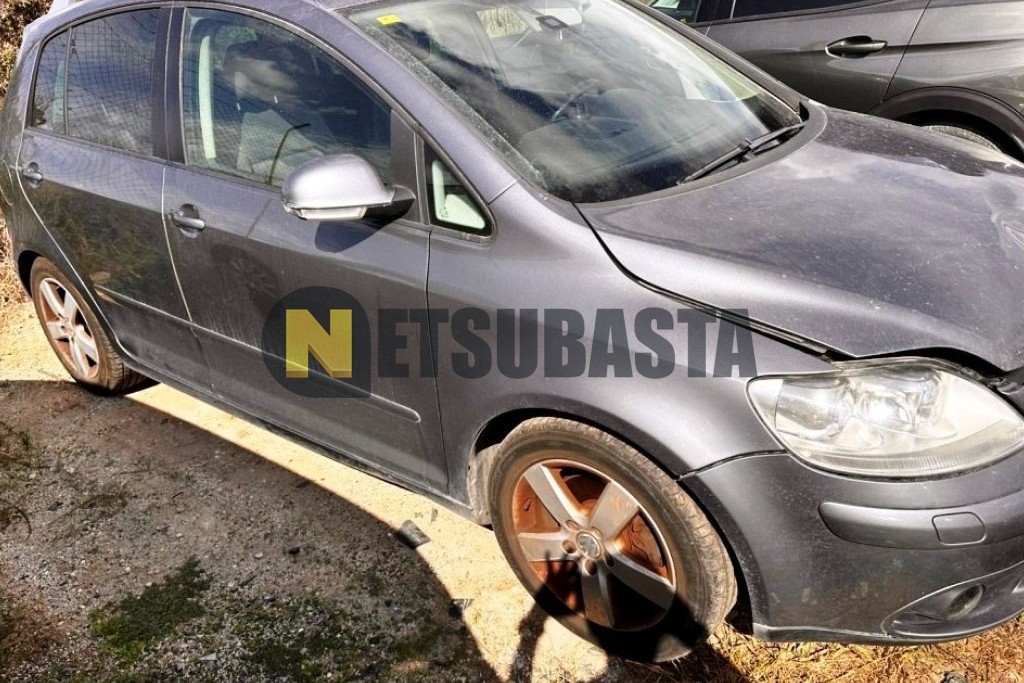 Volkswagen Golf Plus 1.9 TDI 2008