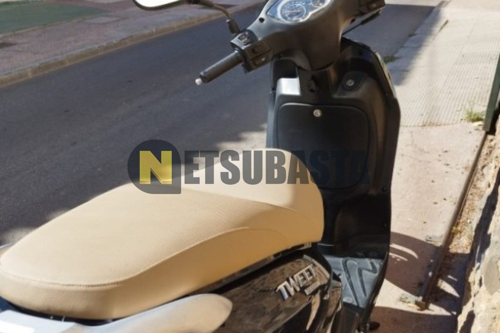 Peugeot Tweet 50 2018