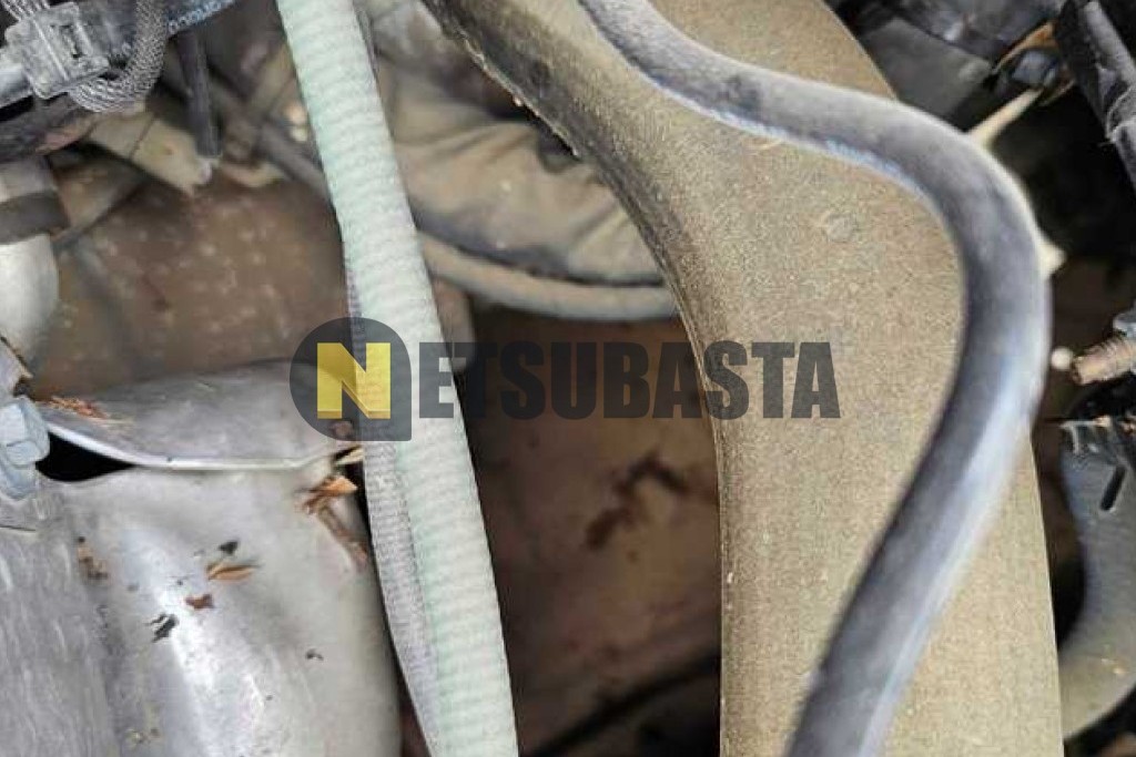 Ford Fiesta Active 1.0 EcoBoost 2020