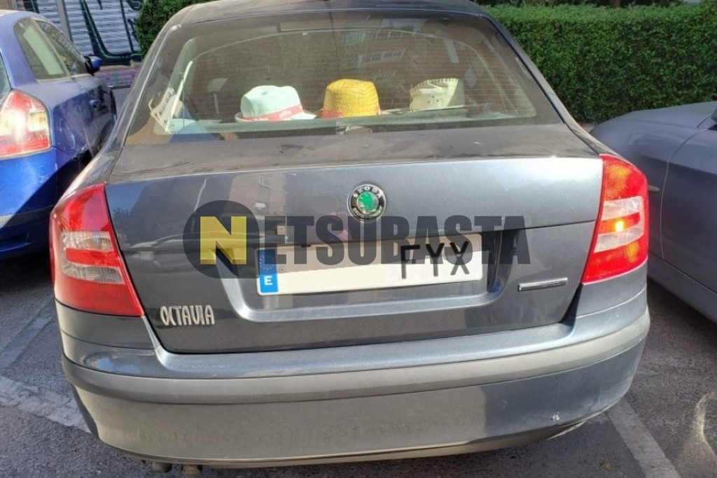 Skoda Octavia 1.9 TDI 2007