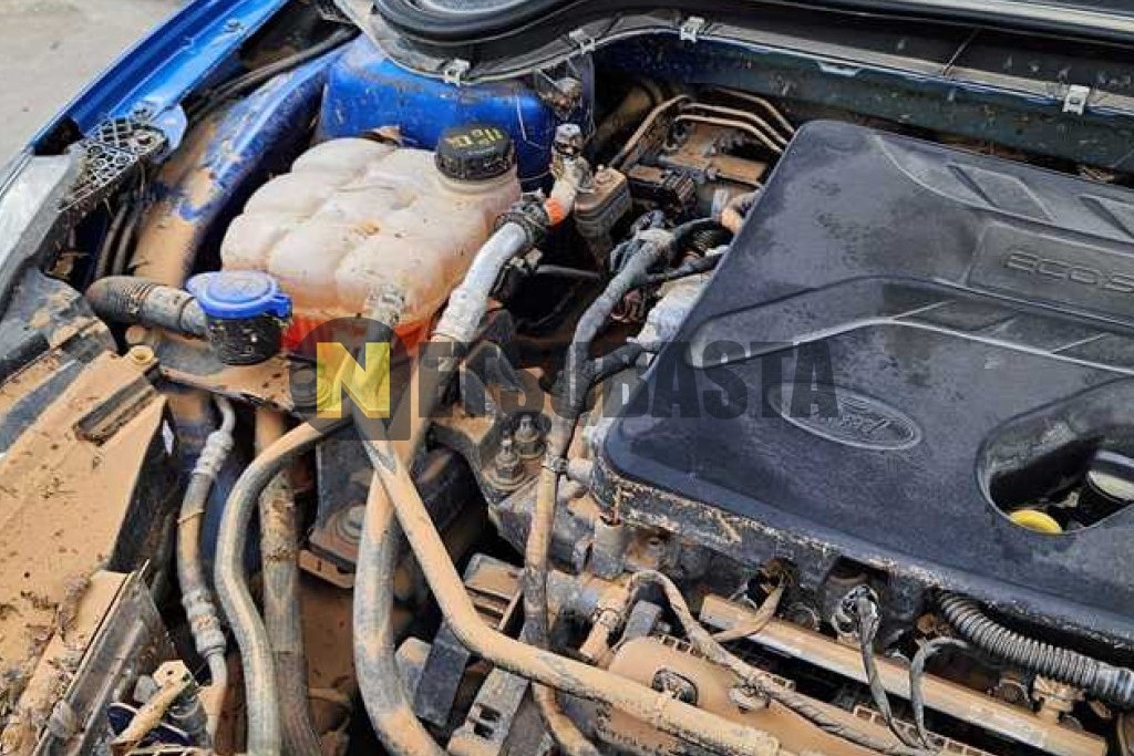 Ford Focus 1.5 EcoBoost 2019