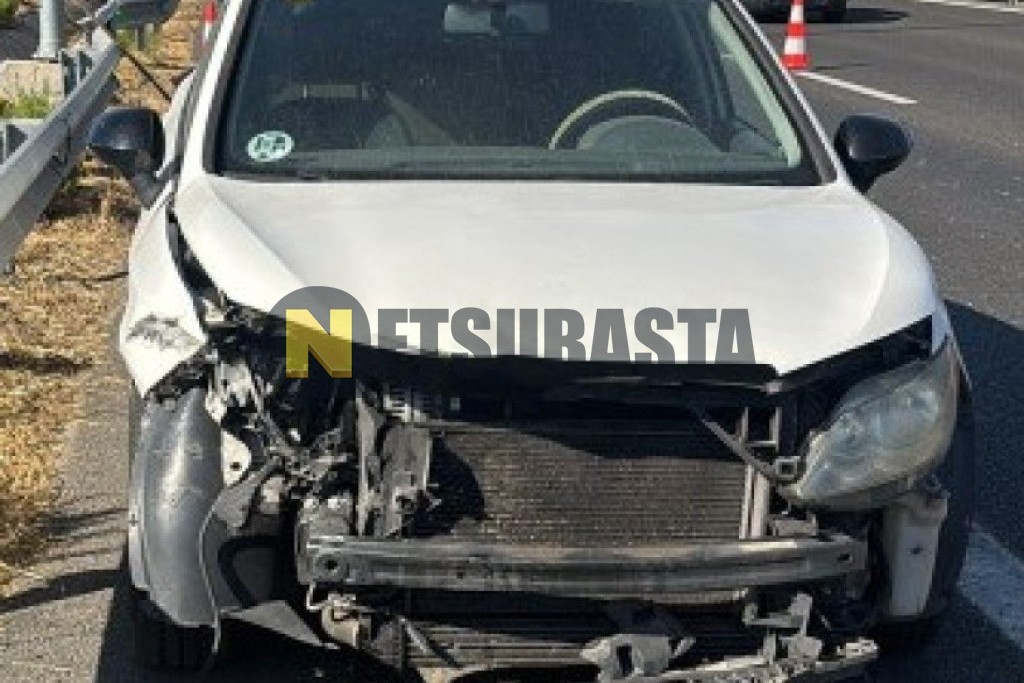 Seat Ibiza 1.9 TDI DPF 2009