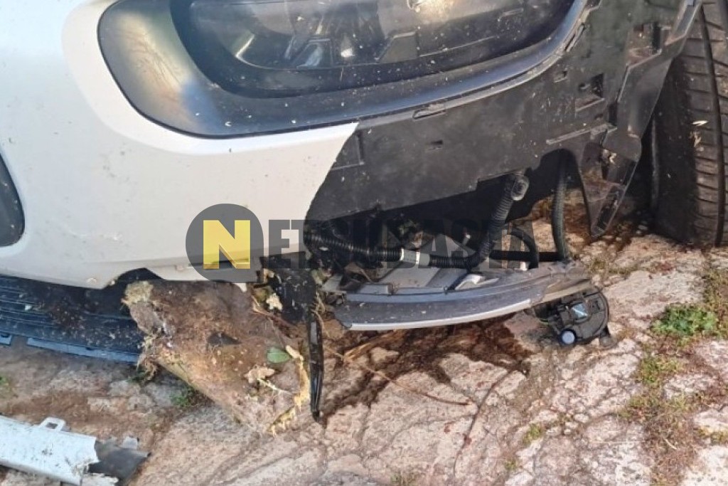 Citroën C4 SpaceTourer 1.2 PureTech 2019