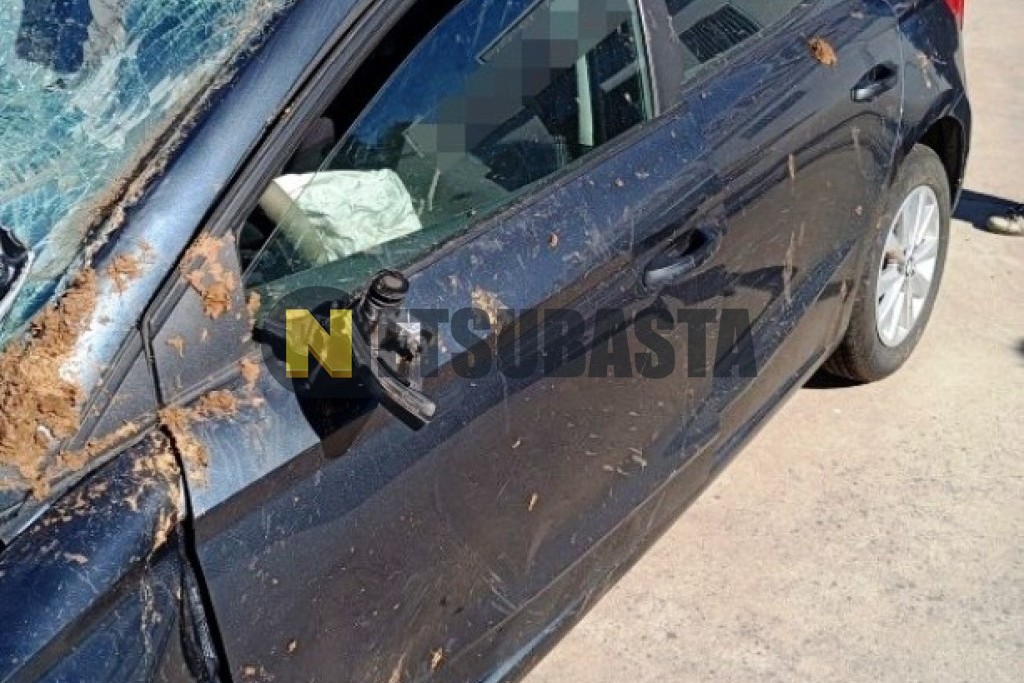 Seat Ibiza 1.0 TSI 2018