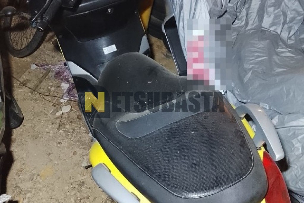 Yamaha XMAX 250 2006