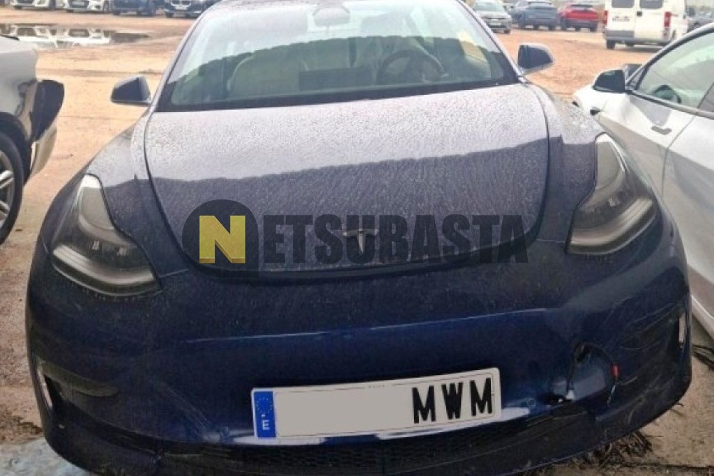 Tesla Model 3 Tracción integral 2019