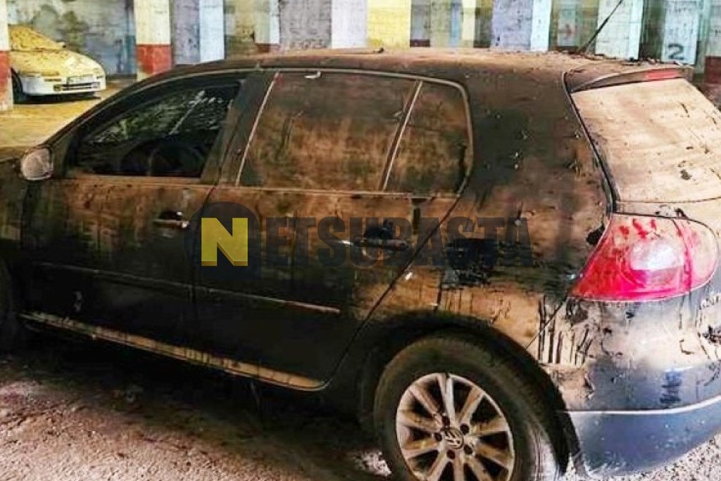 Volkswagen Golf 1.9 TDI 2007