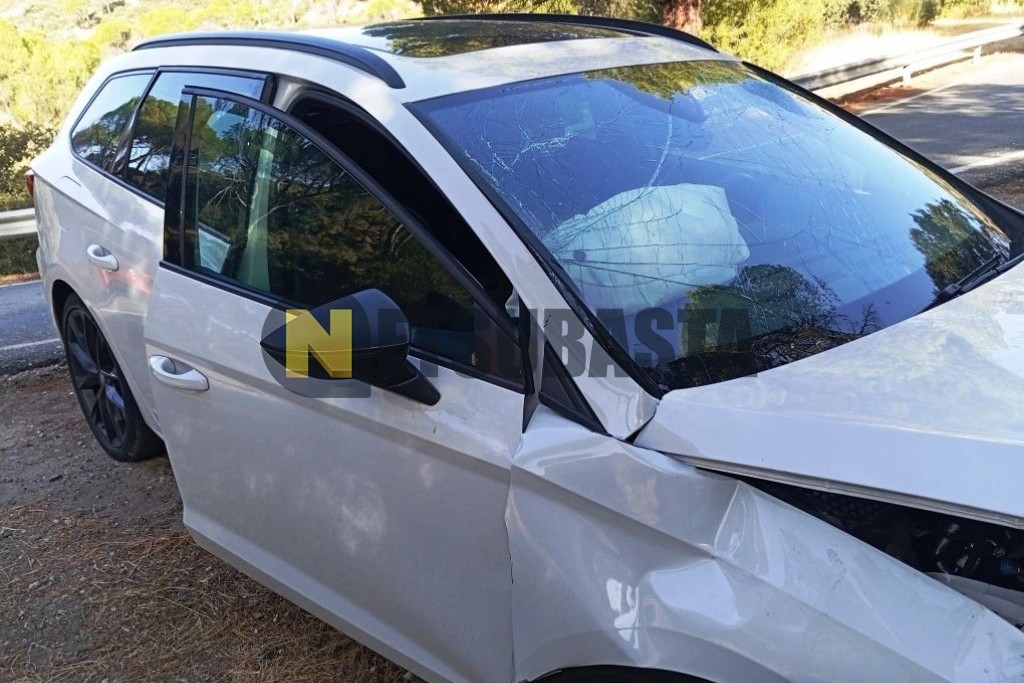 Seat León ST 2.0 TDI CR 2020