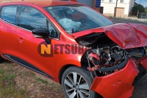 Yamaha XV 250 Virago 1999